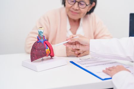 Ältere Frau lässt sich von Arzt anhand eines Lungenmodells etwas erklären