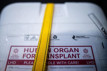 Rund 8.200 Patienten stehen auf Wartelisten für Spender-Organe. (Archivbild)