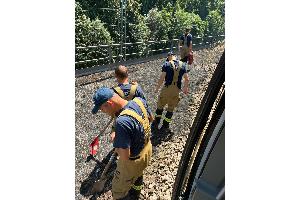 Vegetationsbrand am Hauptbahnhof. Bildquelle: Feuerwehr Stuttgart