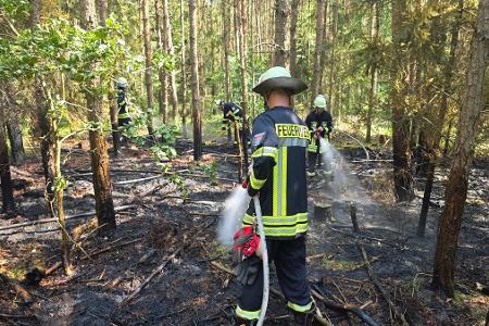 Waldbrand bei Scheuen - die Einsatzkräfte führen Nachlöscharbeiten durch (Foto: Feuerwehr Celle)