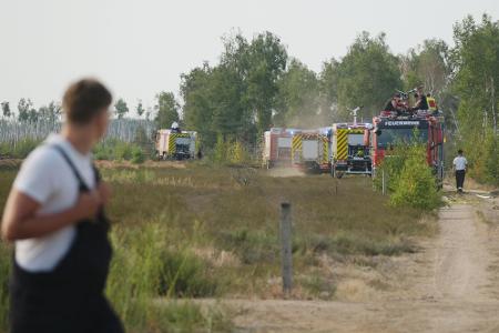 Die Feuerwehr kämpft gegen den Waldbrand.