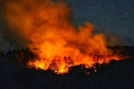 In der Nacht brannte es lichterloh in dem Waldgebiet in Rheinland-Pfalz. 