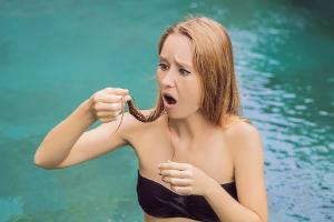 Trockene, verknotete Haare nach dem Schwimmen? Das hilft wirklich
