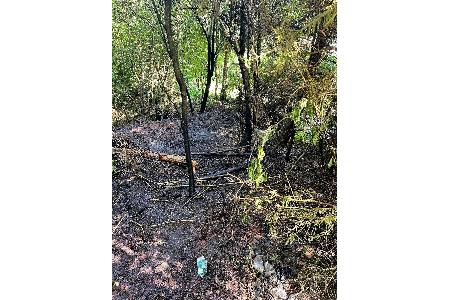 Bild: Feuerwehr Stockach