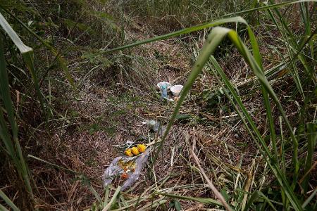 Blumen liegen am Fundort des Koffers.