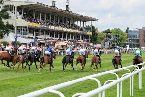 Deutsches Derby: Ein Gast gegen 18 deutsche Galopper