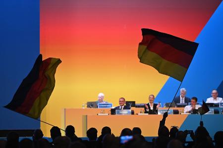 Parteichefin Weidel rief ihre Partei unter großem Jubel dazu auf, 