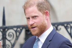 Prinz Harry in London: So beschäftigt ist seine Familie in der Zeit