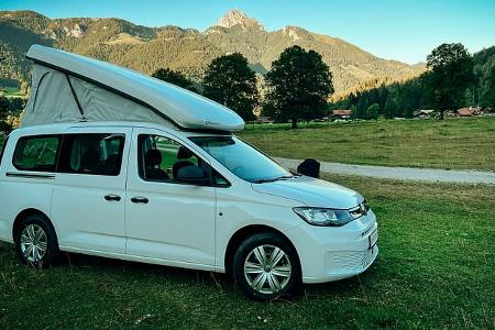 Zooom Caddy Camping 