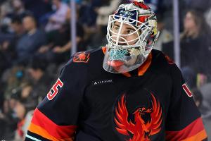 Eishockey: Eisbären verpflichten Torhüter LaFontaine