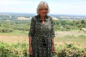 Harry zurück in England und Camilla wandelt durch Winnie-Puuh-Wald