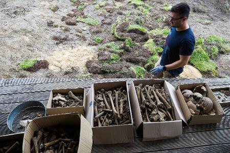 Kistenweise Knochen wurden in dem Garten entdeckt.