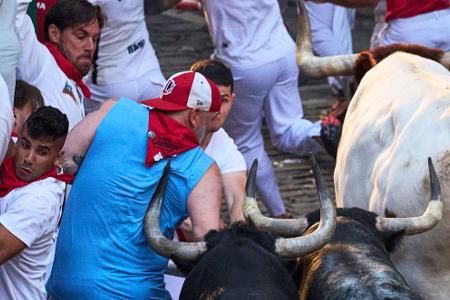 Auf Tuchfühlung mit dem Tod: Die spitzen und langen Hörner der Kampfstiere können den Läufern bei den Stierhatzen während des ebenso berühmten wie umstrittenen San-Fermín-Festes im nordspanischen Pamplona lebensgefährliche Verletzungen zufügen.