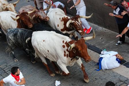 Wer während der Stierrennen in Pamplona stürzt, soll den Kopf mit den Armen vor den Hufen der Stiere schützen und sich möglichst schnell an den Straßenrand rollen.