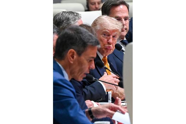 Zustimmung sieht anders aus: US-Präsident Donald Trump schaut skeptisch, während Spaniens Regierungschef Pedro Sánchez auf dem Nato-Gipfel in Ankara spricht.