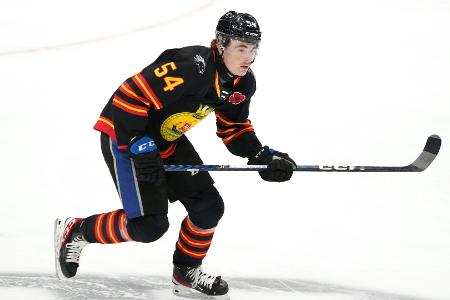 DEL: Mannheim verpflichtet Kanadier Poirier