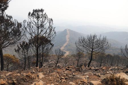 Auch in den Vorjahren kam es in Andalusien immer wieder zu Waldbränden. (Archivbild)