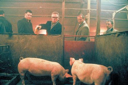 Snatch - Schweine und Diamanten