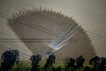 Trockenheit in Deutschland: Ein Feld bei Köln wird bewässert.