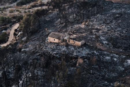 Der tödliche Waldbrand im spanischen Andalusien hat ein Stück Land in Asche verwandelt.