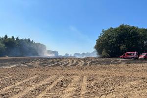 Wald- / und Flächenbrand Dommershausen