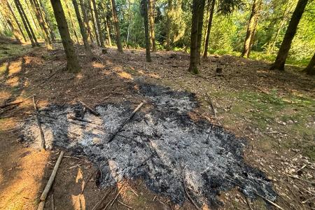 Die verbrannte Fläche im Waldgebiet