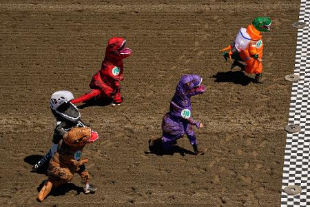 Rennen im T-Rex-Kostüm: Teilnehmer der Vorläufe nähern sich der Ziellinie bei den T-Rex-Weltmeisterschaftsrennen in Emerald Downs.