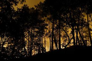 Die Feuerwehr kämpft mit rund 400 Kräften und Löschflugzeugen gegen den Brand im Wald von Fontainebleau. 