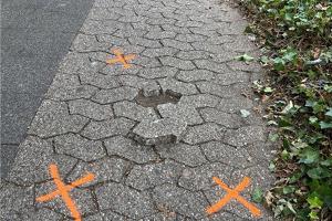 Am Donnerstag (9. Juli 2026) kam es gegen 10:10 Uhr an der Weezer Straße in Kevelaer zu einem gefährlichen Eingriff in den Straßenverkehr. Eine 69-jährige Frau aus Kevelaer befuhr mit einem Pedelec den an die Weezer Straße angrenzenden Geh- und Radweg in Fahrtrichtung Lindenstraße. Die Frau fuhr dabei in ein Schlagloch, kollidierte in der Folge mit einem Pflasterstein und stürzte. Die 69-Jährige zog sich leichte Verletzungen zu. Am Pedelec entstand Sachschaden. Im Rahmen der Ermittlungen zum gefährlichen Eingriff in den Straßenverkehr sucht die Polizei nach Zeugen, die Hinweise zum Sachverhalte machen können.