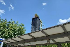 Pflanzenkübel auf Wartehäuschen