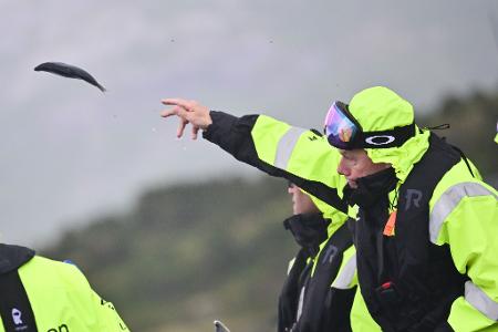 Dynamischer Fisch-Wurf: Wadephul in Norwegen