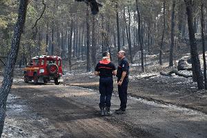 Ein freiwilliger Feuerwehrmann hat eingeräumt, im Wald von Fontainebleau Feuer gelegt zu haben.