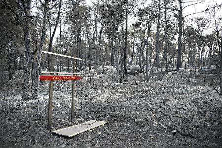 Über 2.000 Hektar Flüche wurden durch den Brand im Wald von Fontainebleau bereits zerstört.