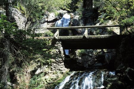 Wildes-Wasser-Weg Bodenmais