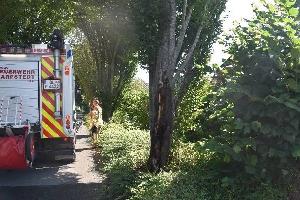 Brand Baum