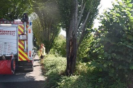 Brand Baum