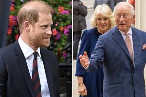 Familientreffen: Camilla spielte bei Harrys Besuch zentrale Rolle
