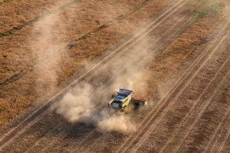 Trocken und staubig: Eine Erntemaschine fährt über ein Feld mit Futtererbsen in Sachsen. 