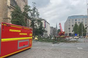 Umgestürzten Baum in die Straße "Friedhof" an der Reinoldikirche
