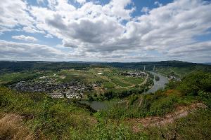 Blick auf die Mosel bei Ürzig. Die große Hitze bleibt in den kommenden Tagen aus. 