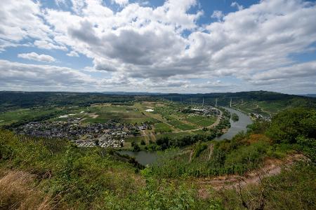 Blick auf die Mosel bei Ürzig. Die große Hitze bleibt in den kommenden Tagen aus. 