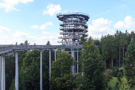 Bayerischer Wald