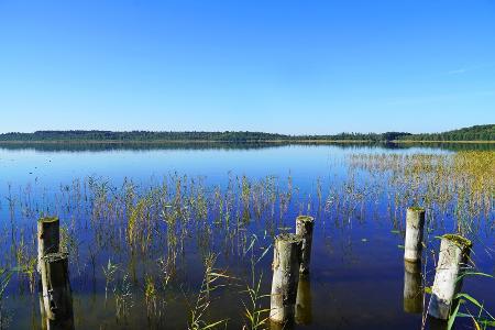 Müritz-Nationalpark
