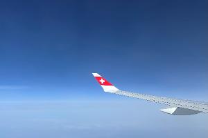 Die Swiss-Piloten sind vom Dienst suspendiert (Symbolbild)