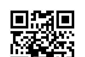 QR-Code - Hinweisportal Landespolizei S-H