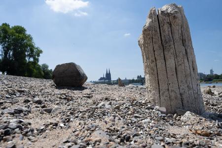 Ausgetrocknet: Bei Niedrigwasser liegen weite Teile des Flussgrundes vom Rhein in Köln frei. 