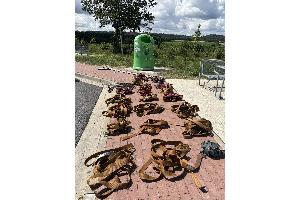 22 Spanngurte und 8 Ratschen waren ablegereif.