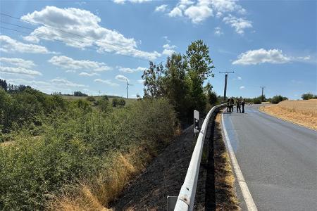 Flächenbrand