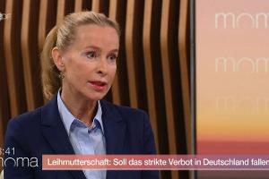 ZDF-Moma