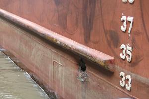 Aufnahme von der festgestellten Beschädigung an der Bordwand des Seeschiffes